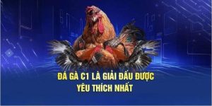 Gà Chọi C1 - Nơi Các Thần Kê So Tài, Cạnh Tranh Xanh Chín